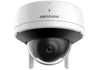 DS-2CV2121G2-IDW (W)2