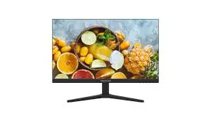 DS-D5024FN11(O-STD)(American Standard)