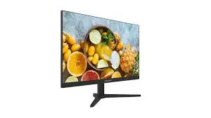 DS-D5024FN11(O-STD)(American Standard)